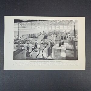 1927 Magazine Page Photo Egg‎ Receiving Plant in Petaluma California by Giroux